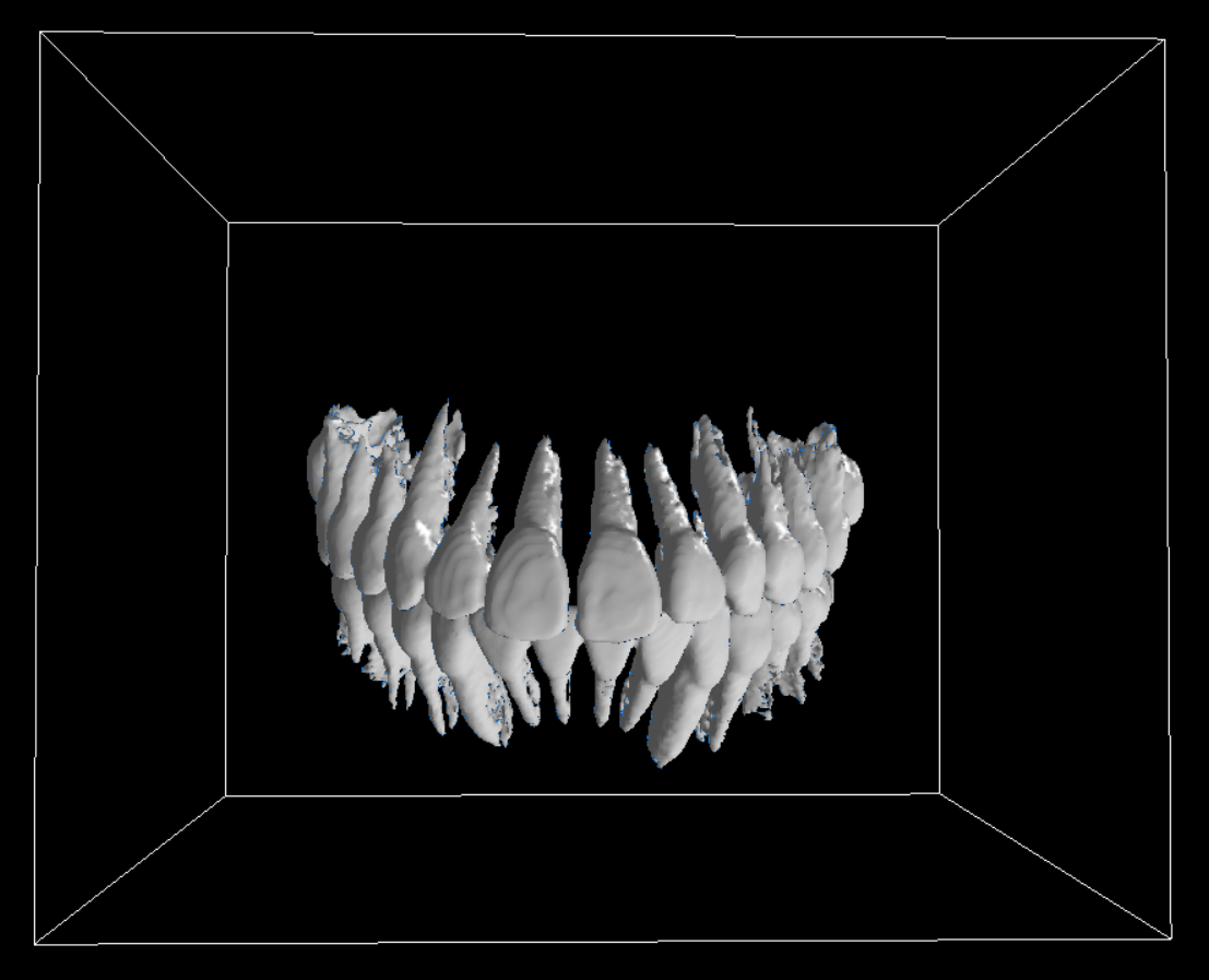 image-10